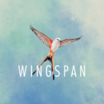 Wingspan digital